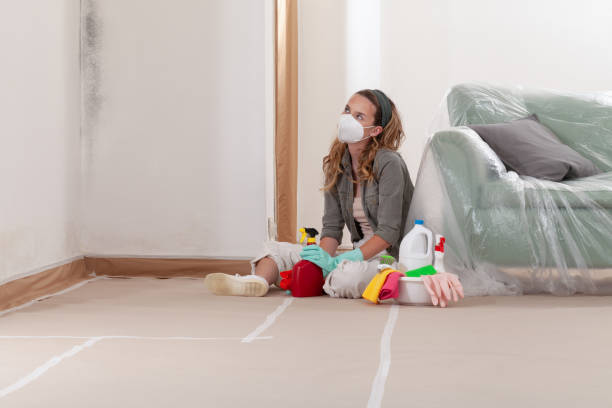 Reliable Commercial Mold Remediation contractor in Cooksville, MD by WQB Mold Removal